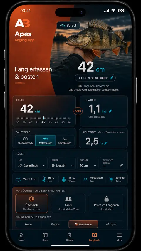 09-fang-erfassen-dark 5